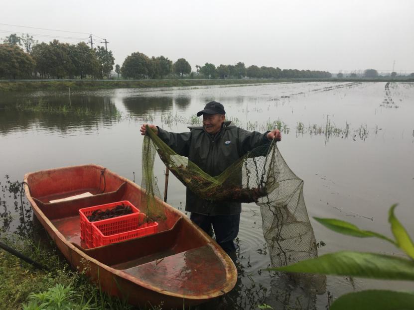 ���Y���s��