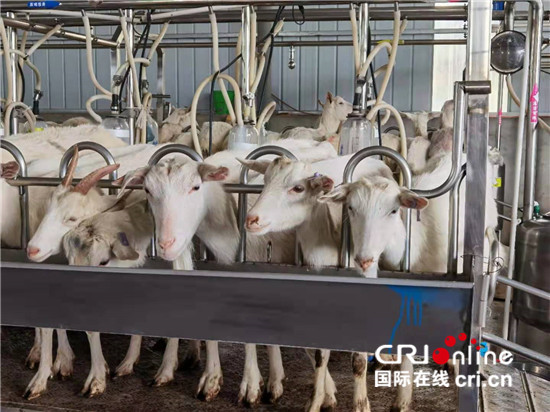 �G��ä�V�ّH�Z�w���業�p���I�L�U����L�j����  ���]���{����_fororder_5