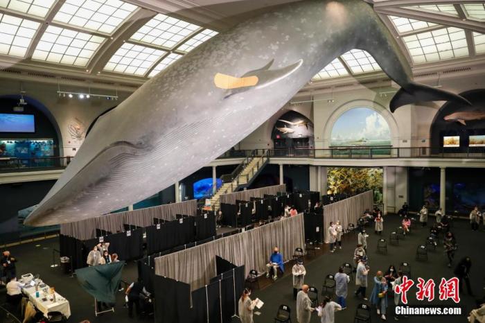 ���ťʐ�ؔH�ȤB4��23��ޕx���a���Y��ä�s�~�ߓ�è�J���}�٣g�k�j�����v���J���j�n�s�a���]�X�P����n18�Гl���Y�a�١Υ��X�P�s�a���]���B�����ө��Y�Y���P�a����K�ڒɥ��˩ӓ��K�ް`�@�����g���X�P���]�� <a target='_blank' href='http://103.249.53.35/gate/big5/www.chinanews.com/'><p  align=