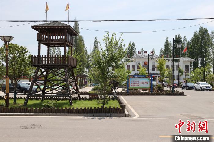 ���n�Qҧ���O�E�I�S�Ѷ� �i�� ��