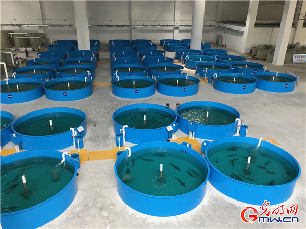 Gjä ħiäbHҷsJyysxޤäbrˬiġo