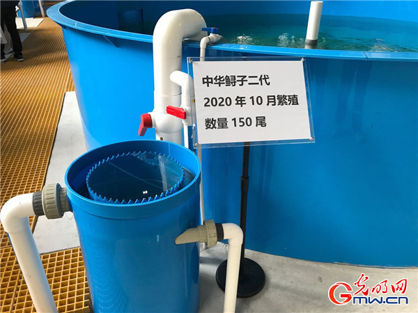 Gjä ħiäbHҷsJyysxޤäbrˬiġo