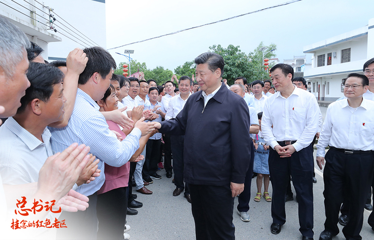 ڤzSӔ | ~puYաgl[LvzþKɫa桲