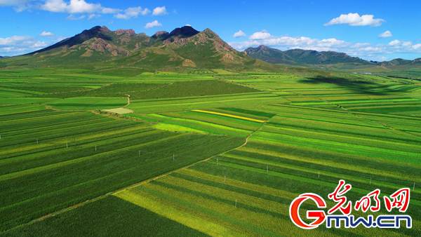 �ة��]�]�������� �������g�e��������