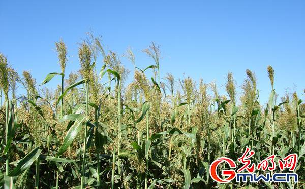 �ة��]�]�������� �������g�e��������