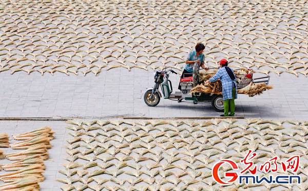 �ة��]�]�������� �������g�e��������