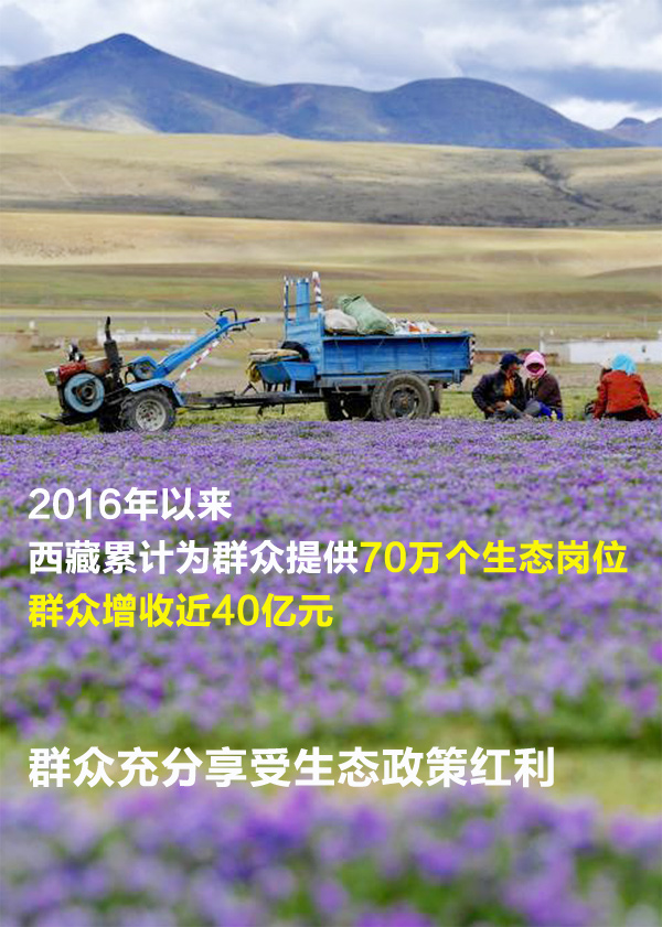 �G���p�H�ÿ��p�Y�����L�p�g�w�ȡ��Y�ͺA���G