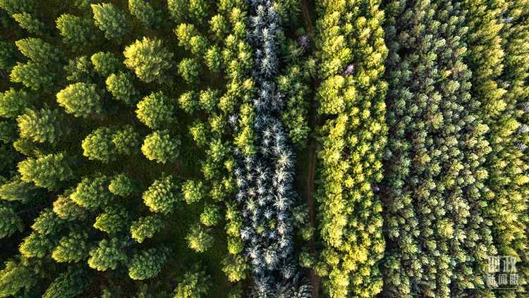 �Ȳ{�s���yح�q�׿����֭�������������~���K���o