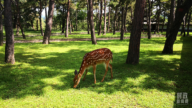 �Ȳ{�s���yح�q�׿����֭�������������~���K���o