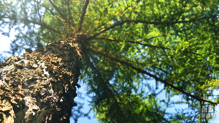 �Ȳ{�s���yح�������m�ީ��K�޳o�������}�ˤ�