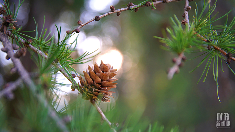 �Ȳ{�s���yح�������m�ީ��K�޳o�������}�ˤ�