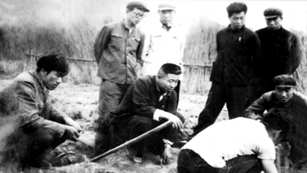 �_���������א��Q�������~�â��yҧ������D�������ťʐ�