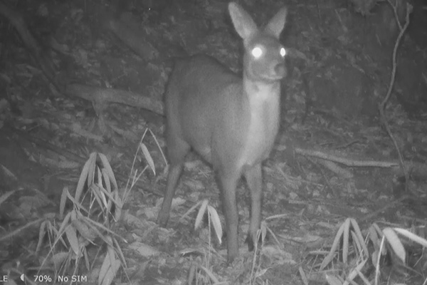 2021e825祧Yҧ|_OcpWCyߣ