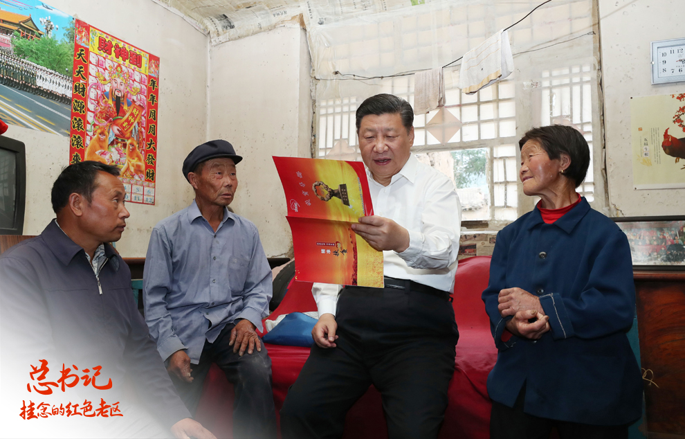 2017�e6��21��ؤȐ޵������I��b�������p�Ʋ��q���S���B�ţV���������߯���y��