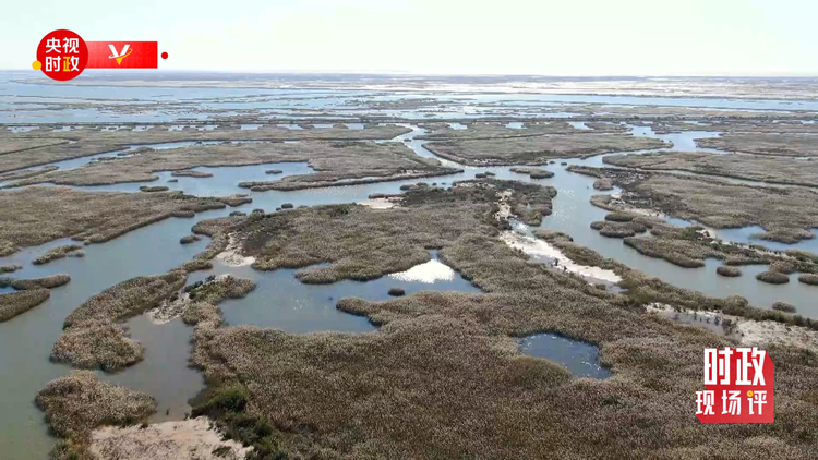 �Ȳ{�}�콺ح���H����~�Y�}�� �I�����������ȿW�e�Y�p��J��