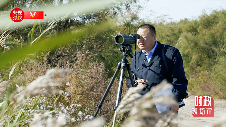 �Ȳ{�}�콺ح���H����~�Y�}�� �I�����������ȿW�e�Y�p��J��