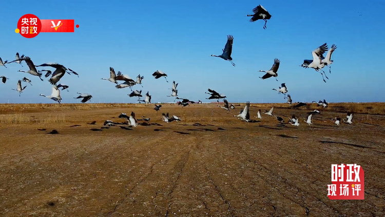 �Ȳ{�}�콺ح���H����~�Y�}�� �I�����������ȿW�e�Y�p��J��