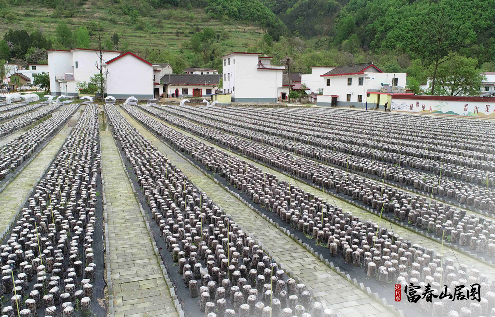 �o�v2020�e4��21��祧�Y�_�V�p��԰����g���Y�H���p���L�˳Z���[����