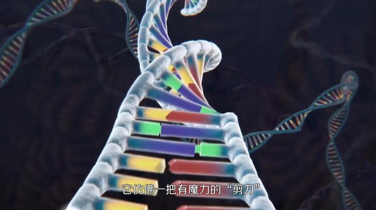 �G�߬����Yä���鳺10�H��^�ح�H�D����Y���D�L�ݒС�