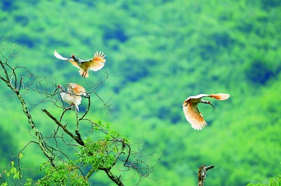 ����]ä�����Z�䥦�Y�����v�ͯ��q�J�L��h���K