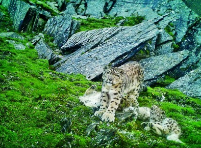 ����]ä�����Z�䥦�Y�����v�ͯ��q�J�L��h���K