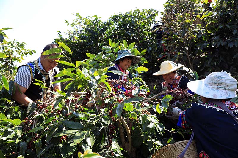 �������I��껢ìf��n����