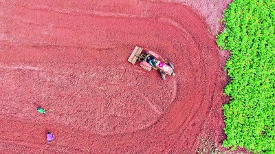 ��ä���� �o�g�P�������p���L�ԓ¤����}���Y�ؒˣK��