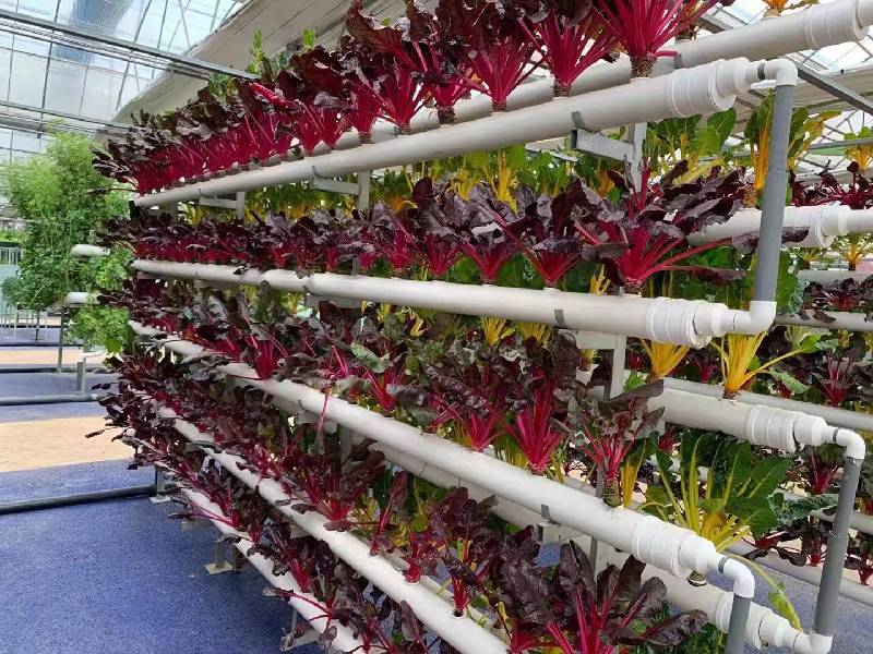 �p�Y�����]����ح�hä�˒�r���ϧ��h��p�Y���X����������