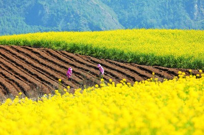 �b�ڤєH�Ȑ����B�n�ؽo