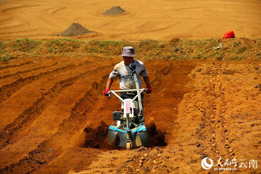 �q�q������ϥ��γZç���P�J�c�O�� �ͤӥ���