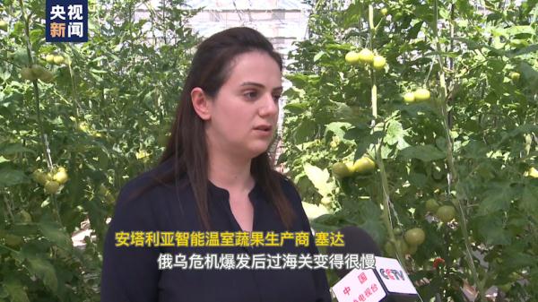 �X�Q���[�ж]�e�� ��ä�V�˒��I�L�����}���b��