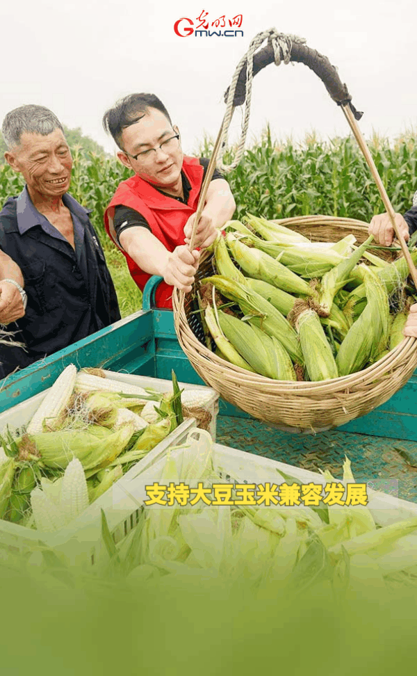 GApH練he|ۣOovY{XRTɐ