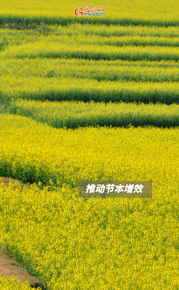 GApH練he|ۣOovY{XRTɐ