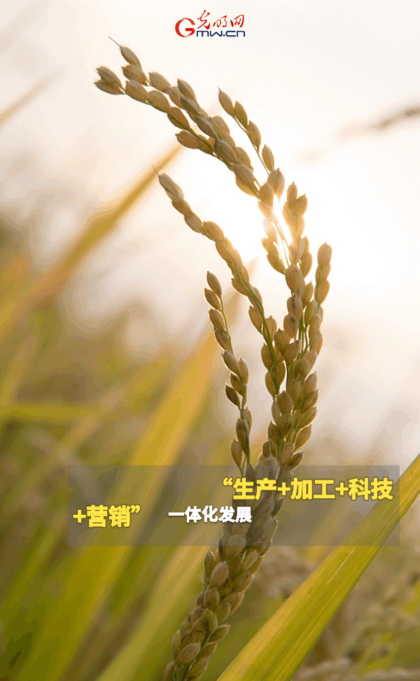 GApH練he|ۣOovY{XRTɐ