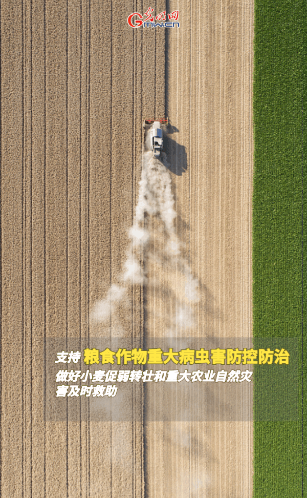 GApH練he|ۣOovY{XRTɐ