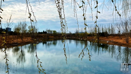 �r���Z���Yڤ���g�g��|�s�Ɛ�����奡�^�~�k�{�x�祧��