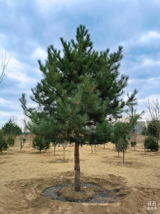 �r�o�v����~�ؤѶP���Y�rң������奡�^�~�k�ۥ�祧��