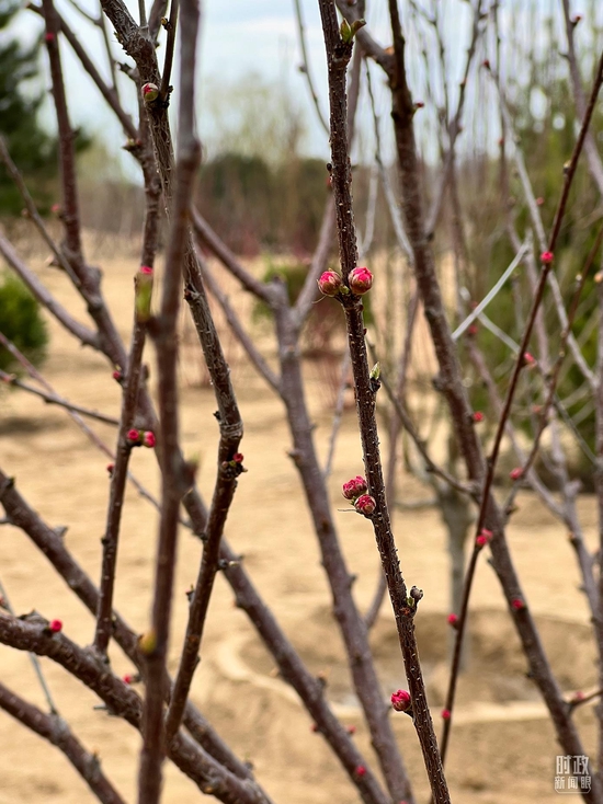  �r�骼�Եƻ�������奡�^�~�k�k�s�ʩ祧��