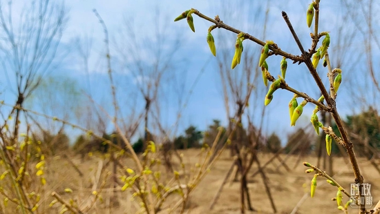 �rֳ��������奡�^�~�k�S�ù٩祧��