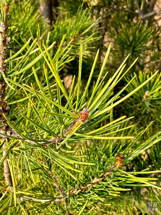  �r�ե�ң������奡�^�~�k���ԩ祧��