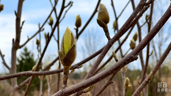 �r���^������奡�^�~�k�k�s�ʩ祧��