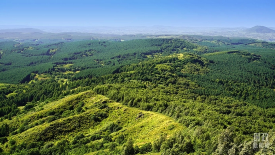 �r�o����ҧ�������奡���~�k�P�r�祧��