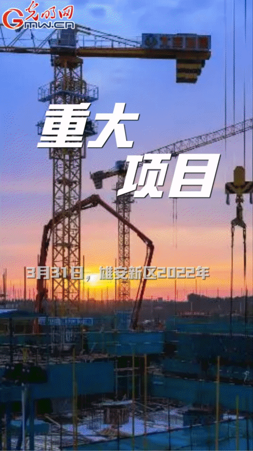 �G�L�����w���p�H�ʔ^�s�[�䤭�e�b�ē�ֵ���] ���������n�n����