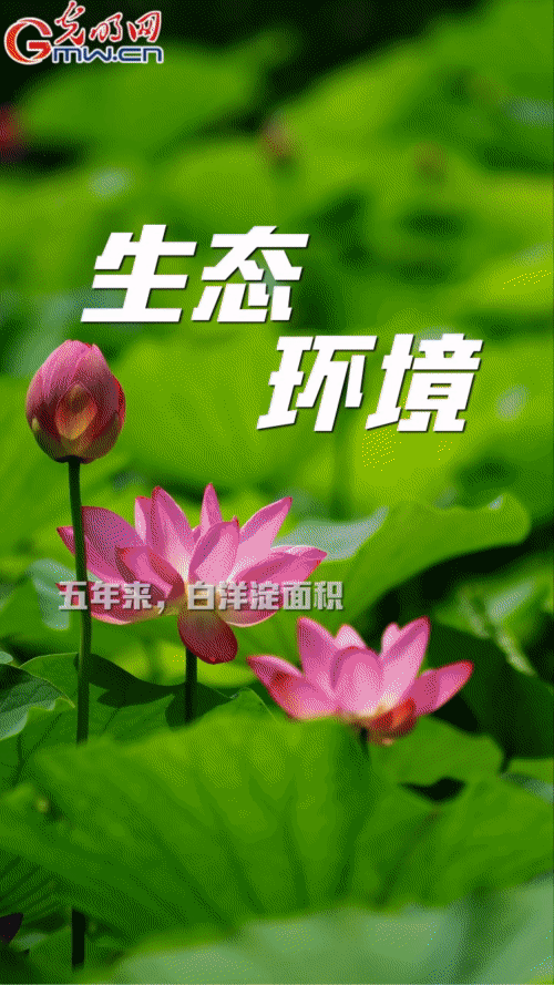 �G�L�����w���p�H�ʔ^�s�[�䤭�e�b�ē�ֵ���] ���������n�n����