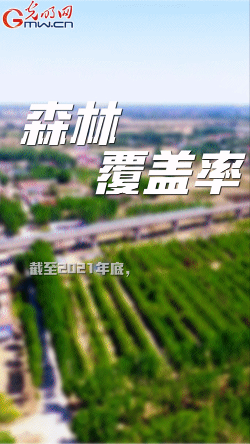 �G�L�����w���p�H�ʔ^�s�[�䤭�e�b�ē�ֵ���] ���������n�n����