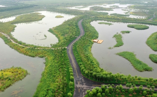 ѬzwyͺAY˒ìK2021e816饧L˳Z[sa_~k ~