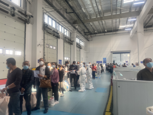 ~\L[| ̡̽LաާK|dɐ