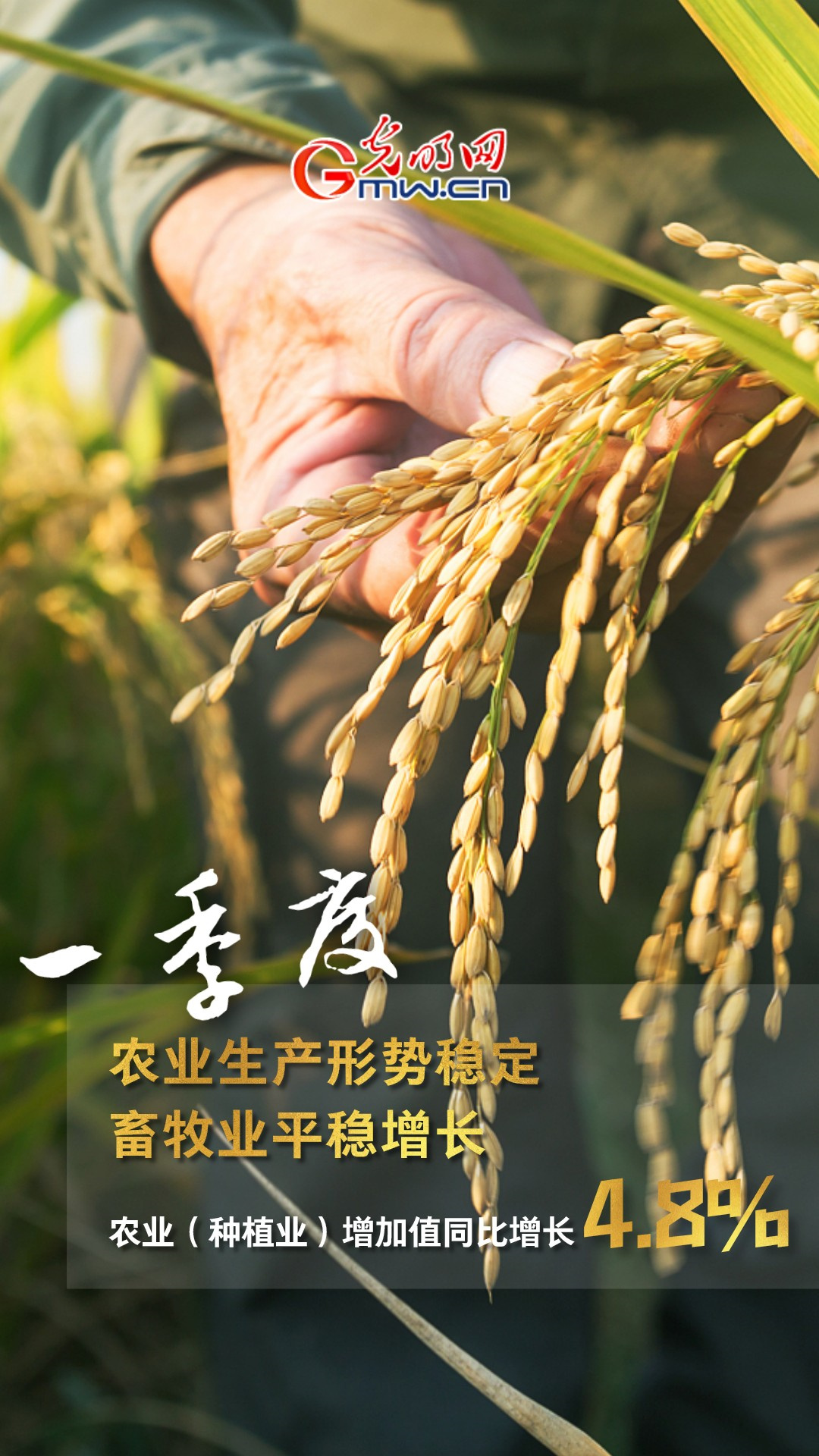 GDP����W��4.8% �áT���O������p�q����!