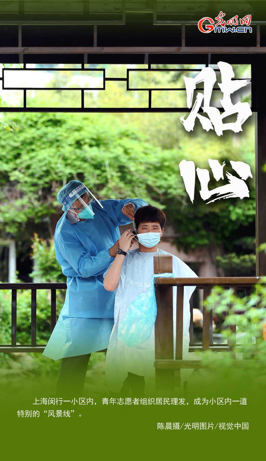 �������Y�y�n����