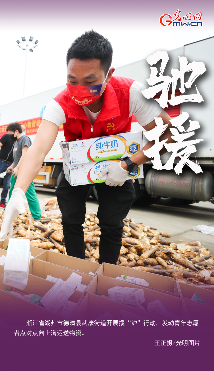 �������Y�y�n����